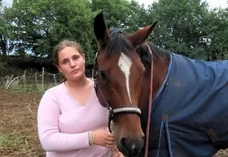 Mort de 25 vaches, plusieurs chevaux blessés… Cette famille bretonne « ne dort plus » et craint des actes malveillants