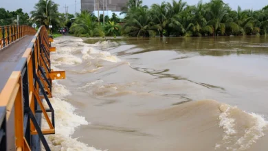 Nhiều vùng hạ du Bình Thuận ngập, người dân sơ tán 6 Nhiều vùng hạ du Bình Thuận ngập, người dân sơ tán