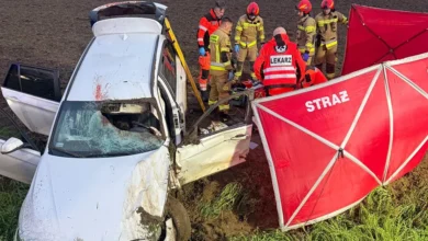 Niecodzienny wypadek na obwodnicy Gostynia. Sarna wpadła do wnętrza samochodu. Kierowca poważnie ranny 5 Niecodzienny wypadek na obwodnicy Gostynia. Sarna wpadła do wnętrza samochodu. Kierowca poważnie ranny