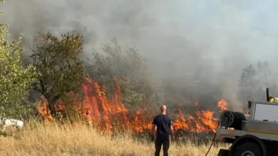 Noragugume, maxi incendio: svolta nelle indagini 6 Noragugume, maxi incendio: svolta nelle indagini