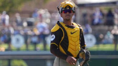 Padres Promote Ethan