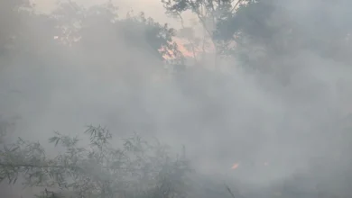 Pakar: 300 ton karbon lepas ke atmosfer per hektare gambut terbakar 6 Pakar: 300 ton karbon lepas ke atmosfer per hektare gambut terbakar