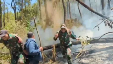 Pemerintah maksimalkan mitigasi karhutla saat kemarau panjang