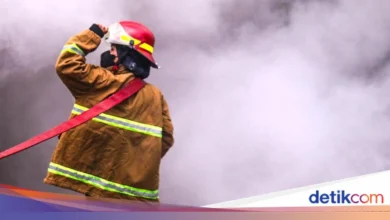 Pemilik Ruko di Tarakan Tak Sadar Ada Kebakaran, Tetangga Ambil Tindakan 4 Pemilik Ruko di Tarakan Tak Sadar Ada Kebakaran, Tetangga Ambil Tindakan