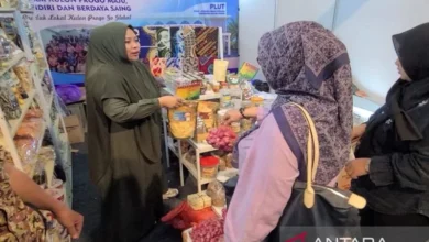 Pemkot: Borobudur Indonesia Expo 2026 pengungkit ekonomi Magelang
