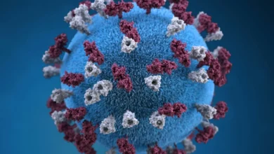 Pennsylvania measles outbreak grows to four deaths as cases rise