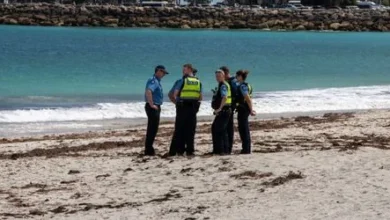 Perth in Australien: Hai tötet Schwimmer vor westaustralischer Küste 4 Perth in Australien: Hai tötet Schwimmer vor westaustralischer Küste