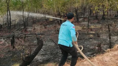 Perubahan iklim menuntut perubahan cara mengelola bencana