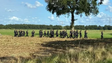 Politie zoekt verder in maisveld en bij scholen Overasselt na dodelijke schietpartij 4 Politie zoekt verder in maisveld en bij scholen Overasselt na dodelijke schietpartij