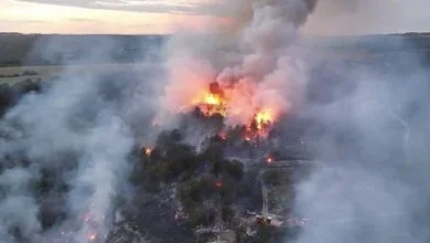 "Pour moi, le feu n'a pas démarré tout seul" : après un incendie près de Dijon qui a brûlé 12 hectares, les habitants s'interrogent sur ce départ de feu fin septembre 4 "Pour moi, le feu n'a pas démarré tout seul" : après un incendie près de Dijon qui a brûlé 12 hectares, les