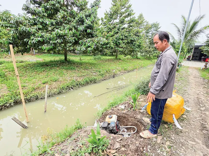 Protégez proactivement les vergers pendant la saison des pluies et les inondations.