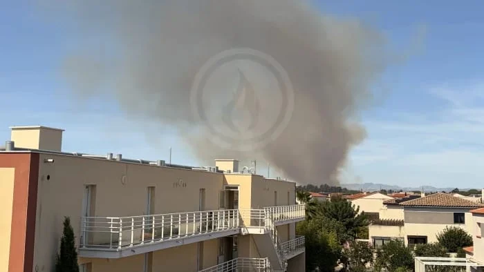 Pyrénées-Orientales : un important incendie ce lundi 1 Pyrénées-Orientales : un important incendie ce lundi