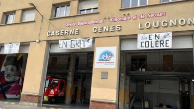 "Quand on part sur un pigeon mort, c'est un engin incendie qui ne sort pas", s'agace un pompier toulousain