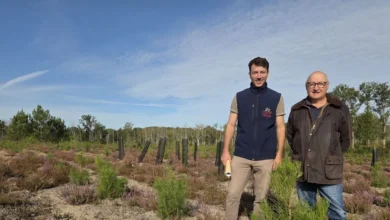 Quatre ans après l'incendie de Mulsanne, Ruaudin et Téloché, il reste beaucoup à faire pour protéger les forêts