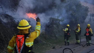 ¿Qué dice la Fiscalía sobre la sentencia de seis meses contra un hombre que provocó un incendio forestal en Quito? 7 ¿Qué dice la Fiscalía sobre la sentencia de seis meses contra un hombre que provocó un incendio forestal en Quito?