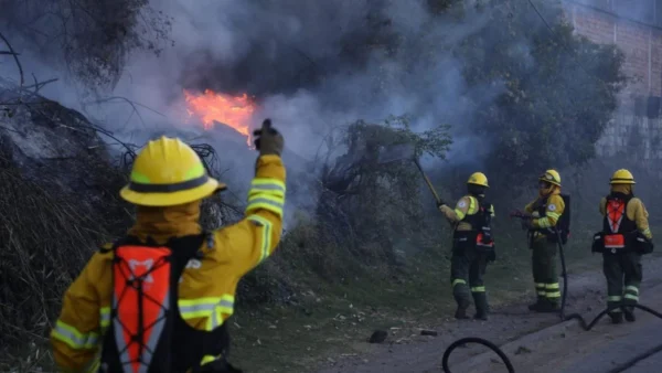 ¿Qué dice la Fiscalía sobre la sentencia de seis meses contra un hombre que provocó un incendio forestal en Quito?