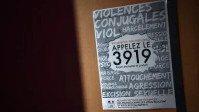 Quels sont les moyens consacrés par l'État à la lutte contre les violences faites aux femmes ?