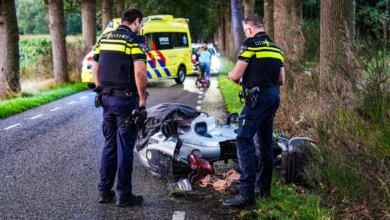 Ree overleden na botsing met motorrijder in 't Haantje