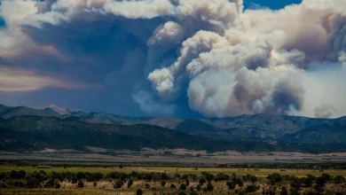 repealing the Roadless Rule will reduce wildfires 3 repealing Roadless Rule