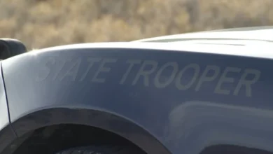Rollover Nevada crash