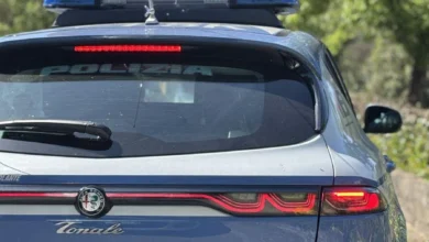 Roma Santa Palomba, la madre torna a casa e sorprende l'uomo con il quale abitava ad abusare 6 Roma Santa Palomba, la madre torna a casa e sorprende l'uomo con il quale abitava ad abusare