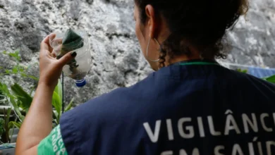 São Paulo tem mais de 58 mil casos de dengue desde o início do ano 5 São Paulo tem mais de 58 mil casos de dengue desde o início do ano