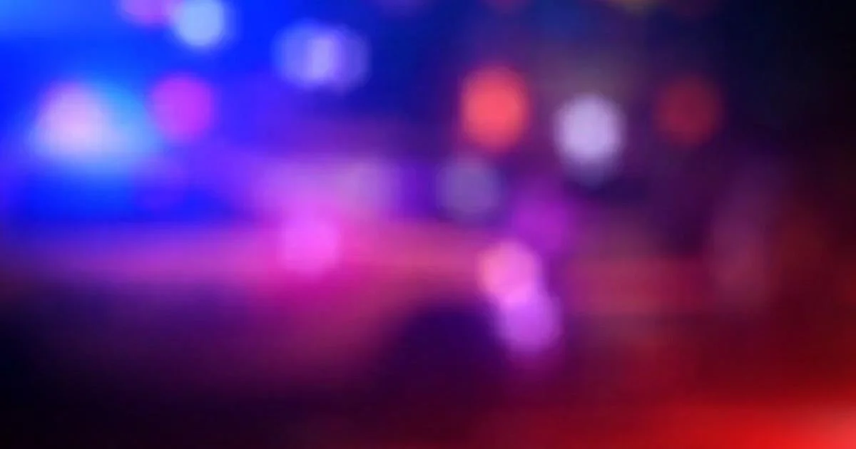 Jackson County, Illinois shooting: SIU professor Killedwoman arrested 1 Shooting