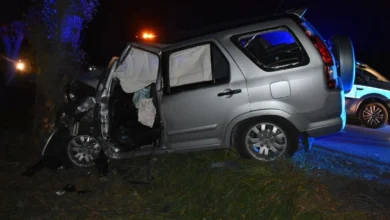 Śmiertelny wypadek pod Siedliszczem. Samochód uderzył w drzewo