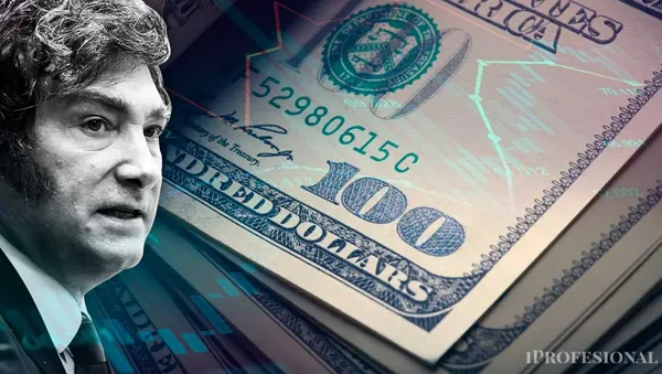 Sobran dólares, pero Milei no libera pesos y la City alerta por una economía partida en dos - Por Claudio Zlotnik