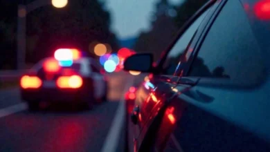 Police searching for a stabbing suspect — Lower Merion Township, Delaware 2 Stabbing