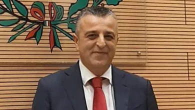 Terremoto politico a Zambrone, dimissioni di 6 consiglieri: decadono sindaco e amministrazione