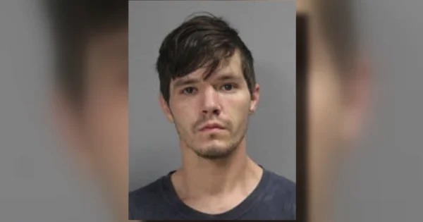 Texas man sentenced to 10 years in prison after more than 130 dogs died at animal rescue 1 Texas man sentenced
