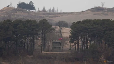 Tiga tentara Korsel terluka dalam ledakan ranjau di DMZ 5 Tiga tentara Korsel terluka dalam ledakan ranjau di DMZ