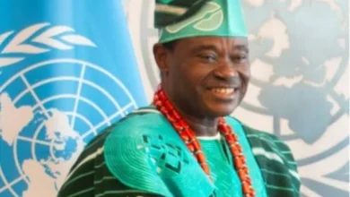 Tinubu Cant Be Arrested In US During UNGA – Nigerias UN Rep Gives Reasons 4 Tinubu Cant Arrested