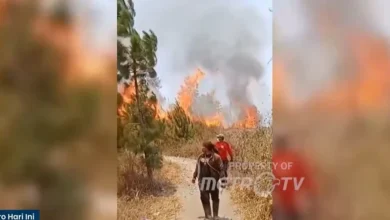 Titik Api Baru Muncul, Kebakaran Gunung Merapi Capai 30 Hektare