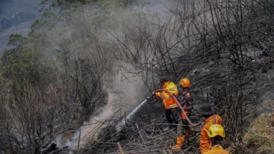 TNBTS sebut titik asap di Bromo berhasil dilokalisasi petugas gabungan