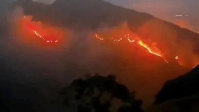 TNGR: Luas kebakaran lahan di gunung Rinjani mencapai 589 hektare
