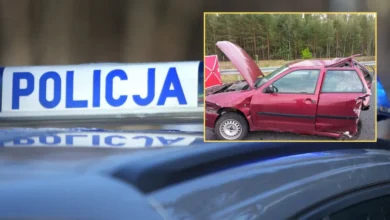 Tragedia na S8, nie żyje jedna osoba. Kierowca próbował uciec. Na miejscu prokurator 5 Tragedia na S8, nie żyje jedna osoba. Kierowca próbował uciec. Na miejscu prokurator