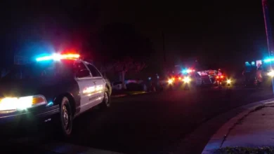 Two Arrested Fight