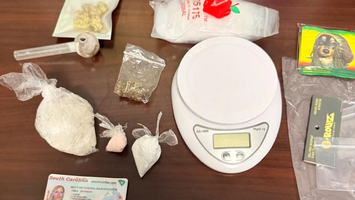 Two women arrested after Walterboro traffic stop finds meth, fentanyl, sheriff says 1 Two women arrested