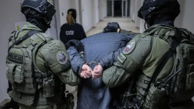 Ukradli kilkaset sztuk bydła. Zatrzymania w Polsce i Niemczech