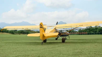 Un ancien chef de sécurité des vols de l’armée de l’air et une sage-femme tués dans un crash d’avion