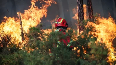 Une pompière de 24 ans meurt en combattant un incendie au Portugal