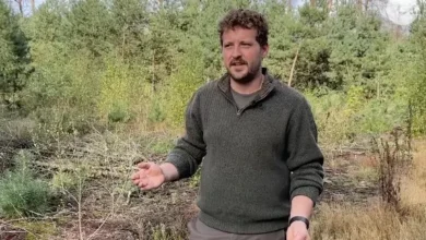 Vers geplante loofbomen moeten natuurbranden op Veluwe afremmen 8 Vers geplante loofbomen moeten natuurbranden op Veluwe afremmen