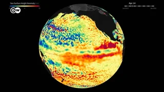 Video Alerta por El Niño: advierten que podría ser el más potente en cuatro décadas