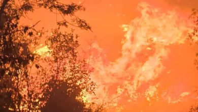 VIDÉO. Double incendie près de Dijon : des habitations menacées, un pompier blessé, le feu se propage toujours