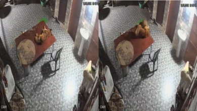 VIDEO: कुत्ते पर झपटा गुलदार, करीब 25 सेकेंड तक दूसरी मंजिल पर हुई भिड़ंत, फिर...