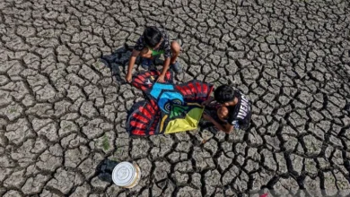 Waduk Sumberkepuh mengering, sekitar 400 hektare lahan pertanian kekurangan air di Nganjuk