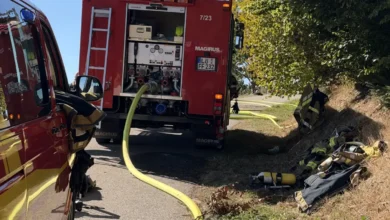 Waldbrand in Gersbach: Aufregung bei Weidefest – Feuerwehr löscht Brand schnell