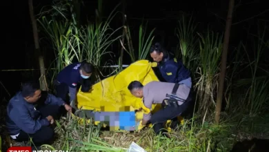 Warga Sumber Probolinggo Ditemukan Tewas Bersimbah Darah di Hutan 4 Warga Sumber Probolinggo Ditemukan Tewas Bersimbah Darah di Hutan